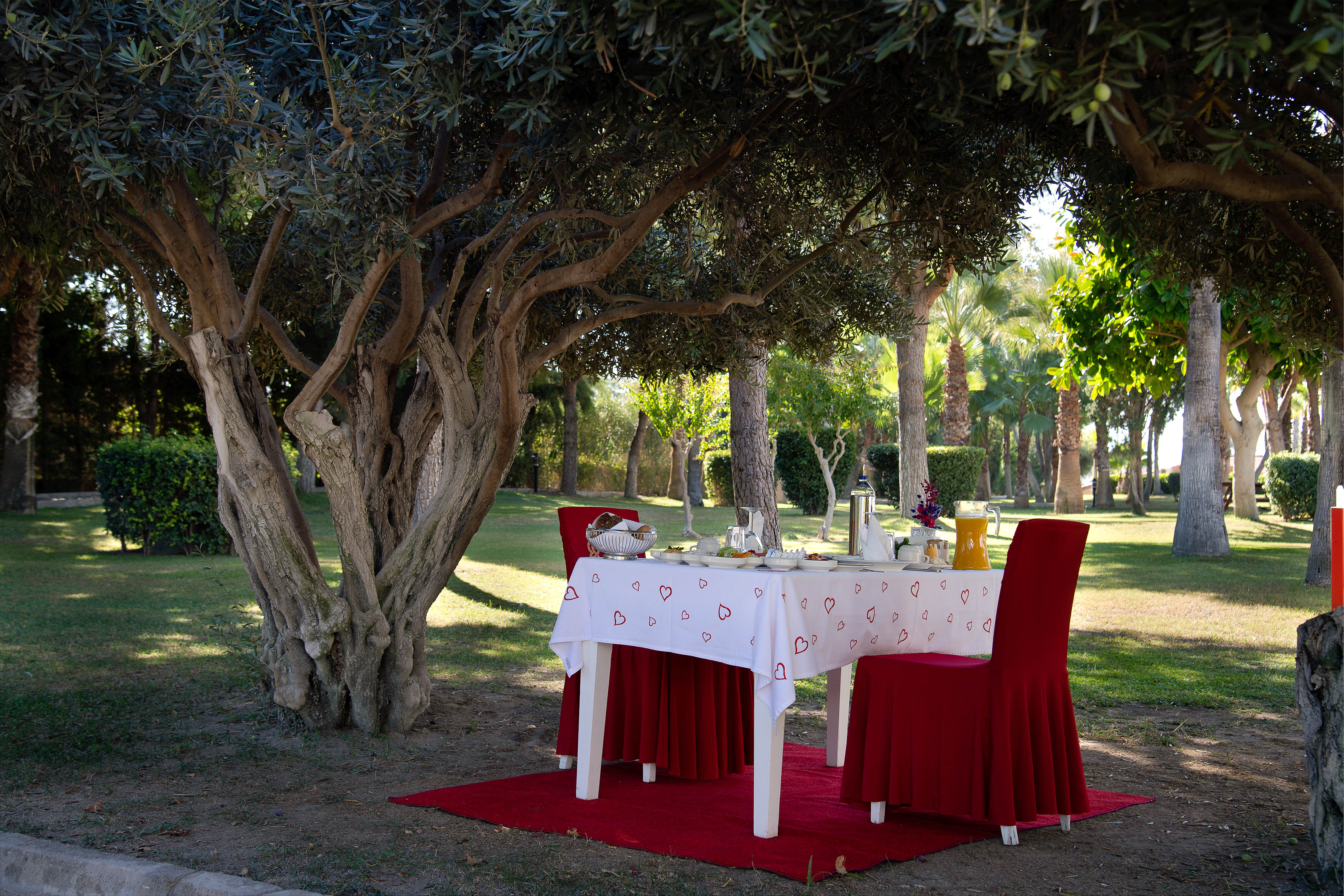 KAMELYA SELIN HOTEL