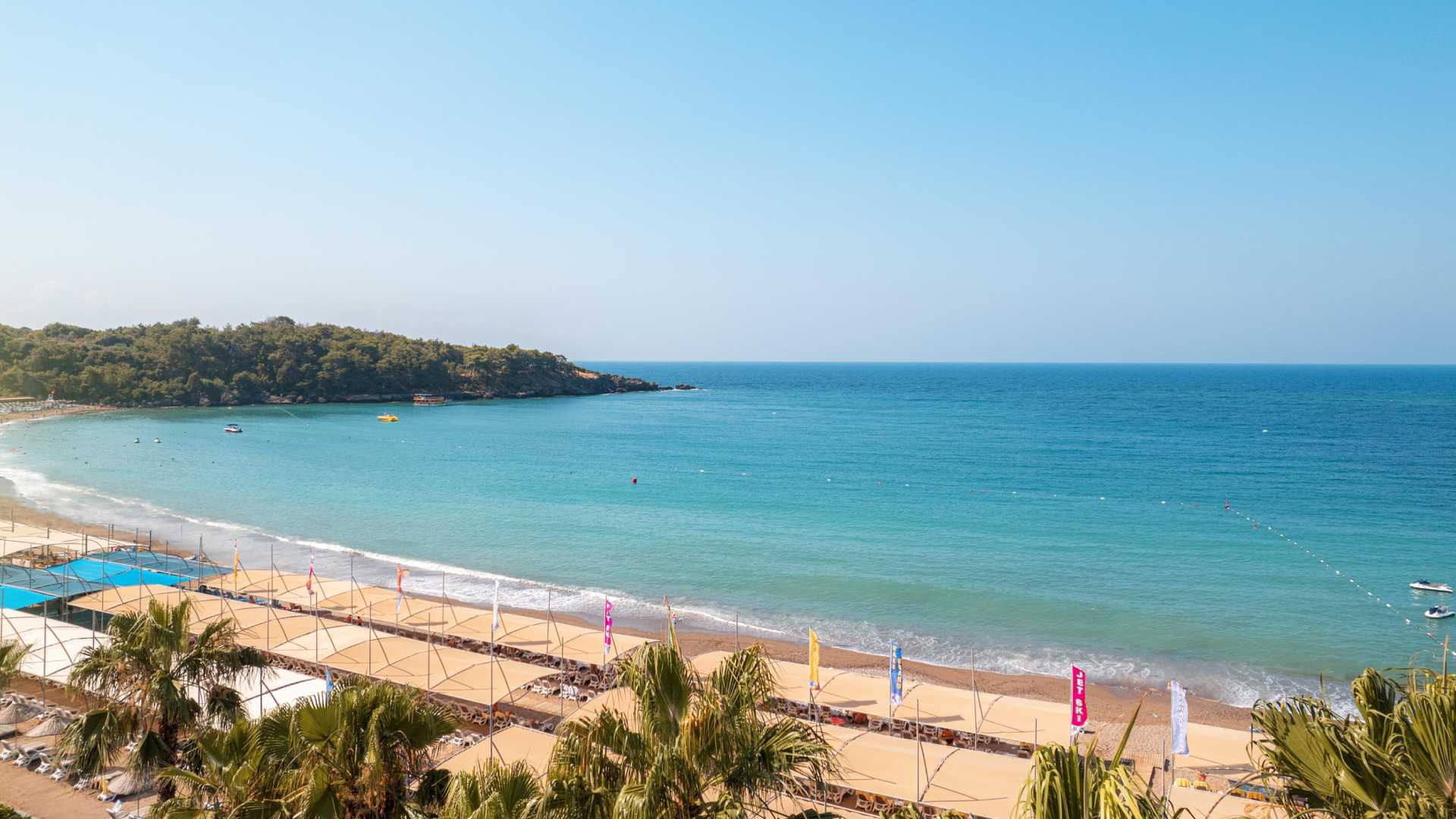 ARYCANDA KIRMAN PREMIUM