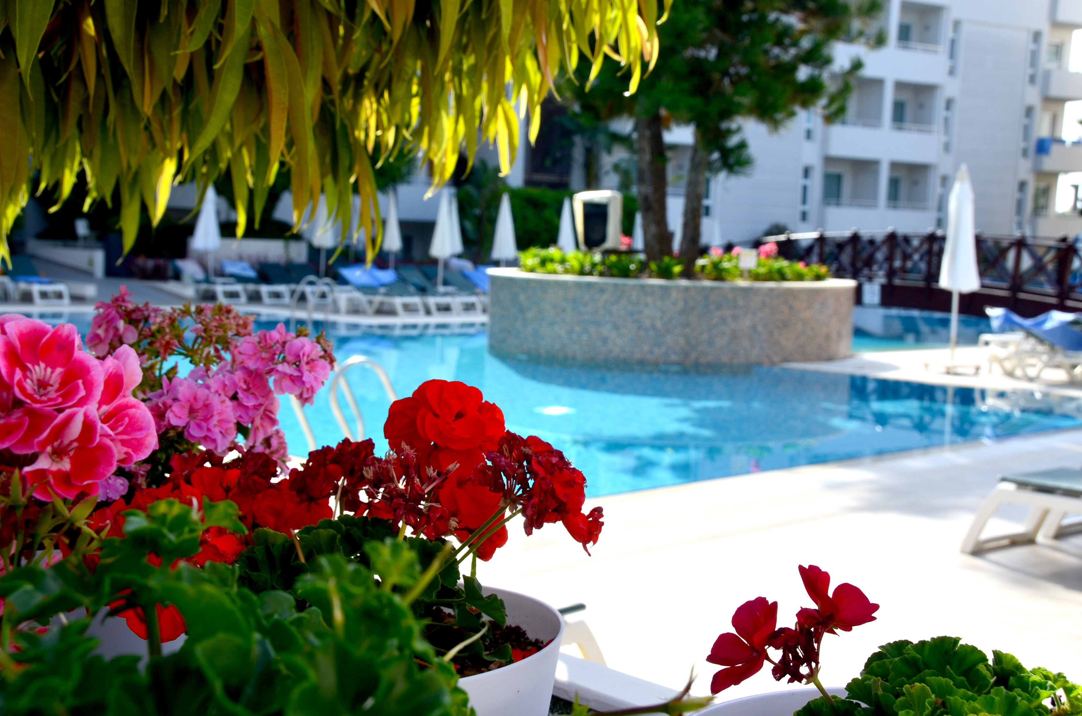 SIDE RESORT HOTEL