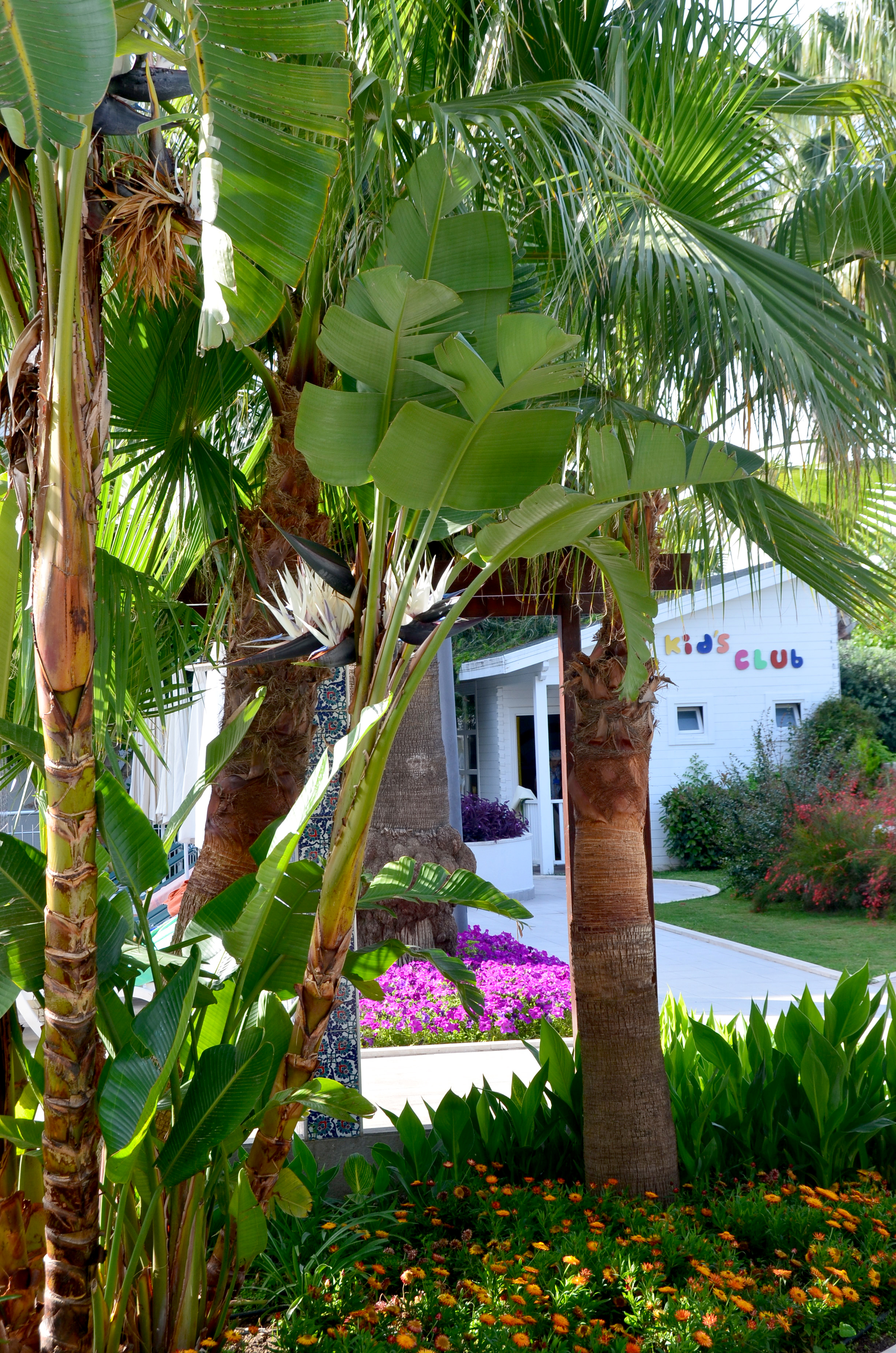 SIDE RESORT HOTEL