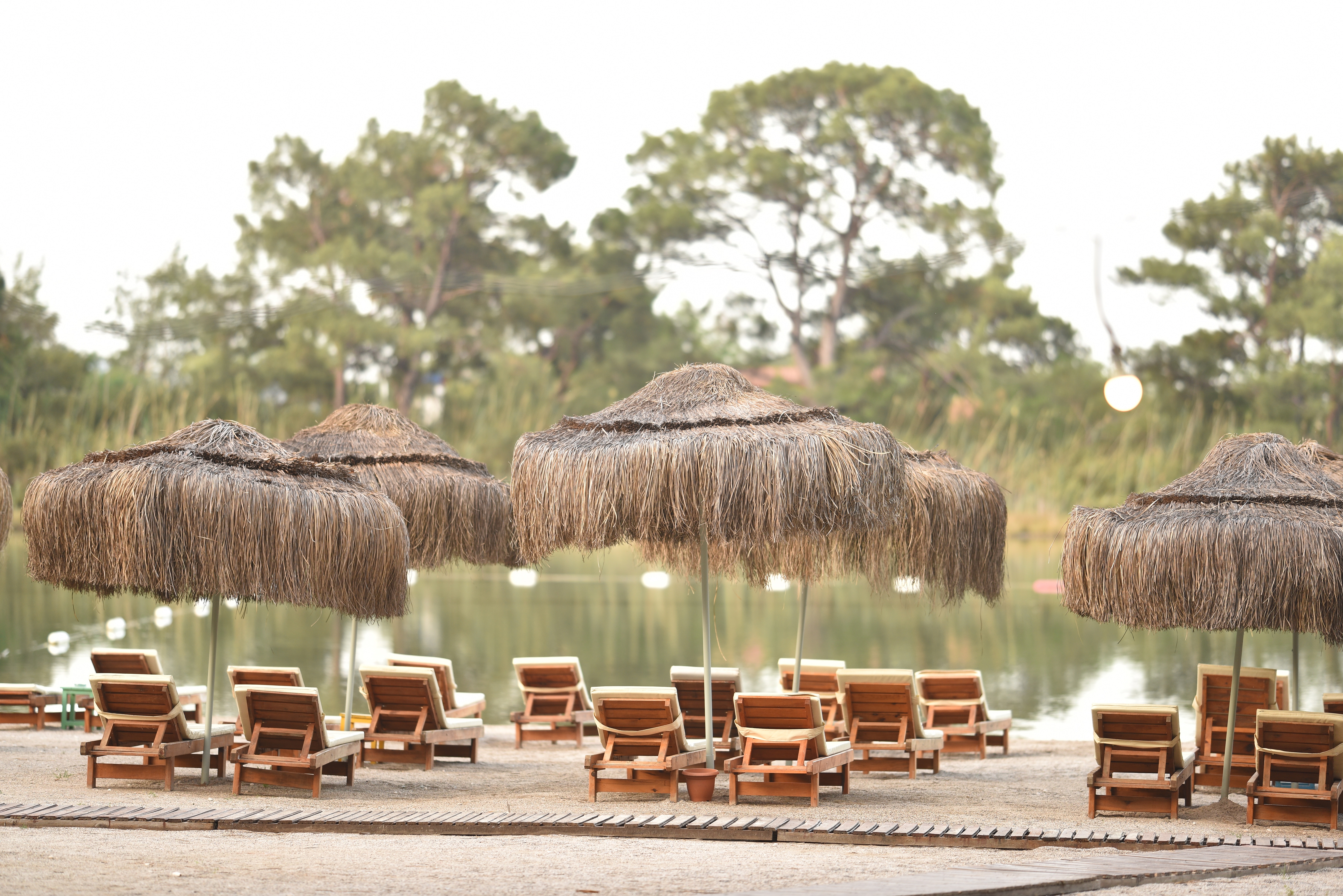 GREEN PINE BEACH & BUNGALOWS LUXURY CONSEPT