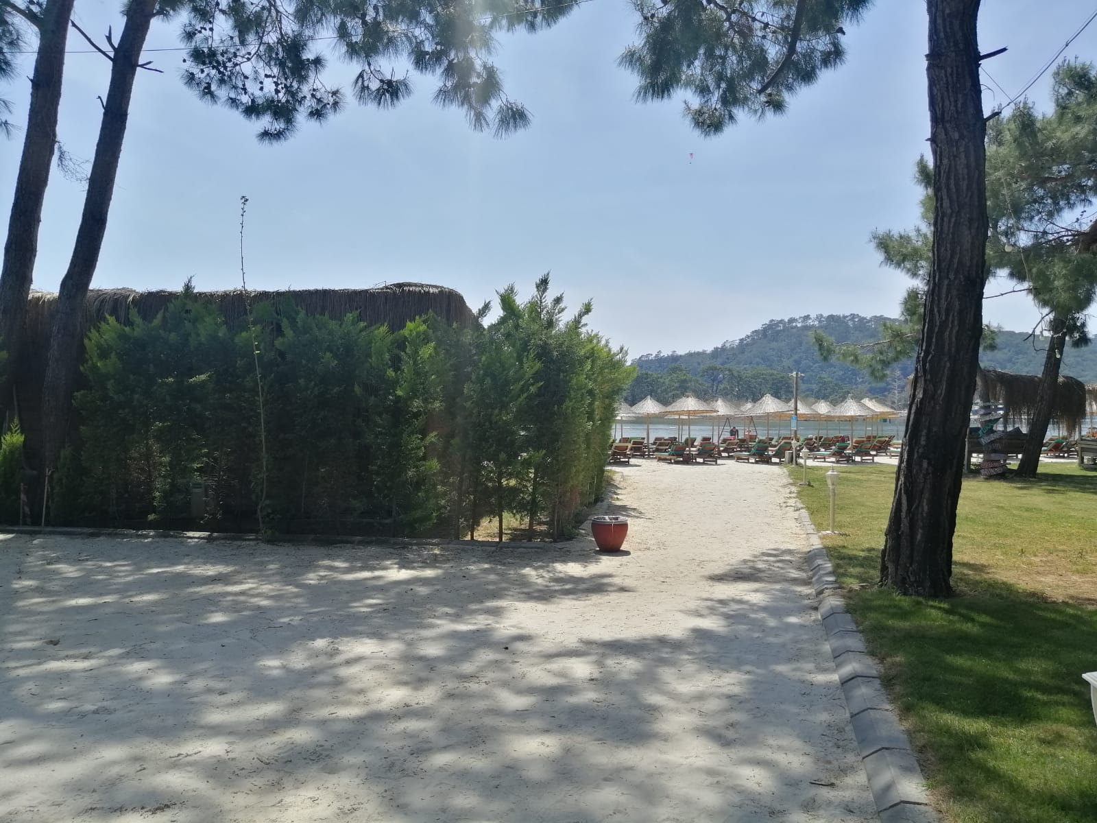 GREEN PINE BEACH & BUNGALOWS LUXURY CONSEPT