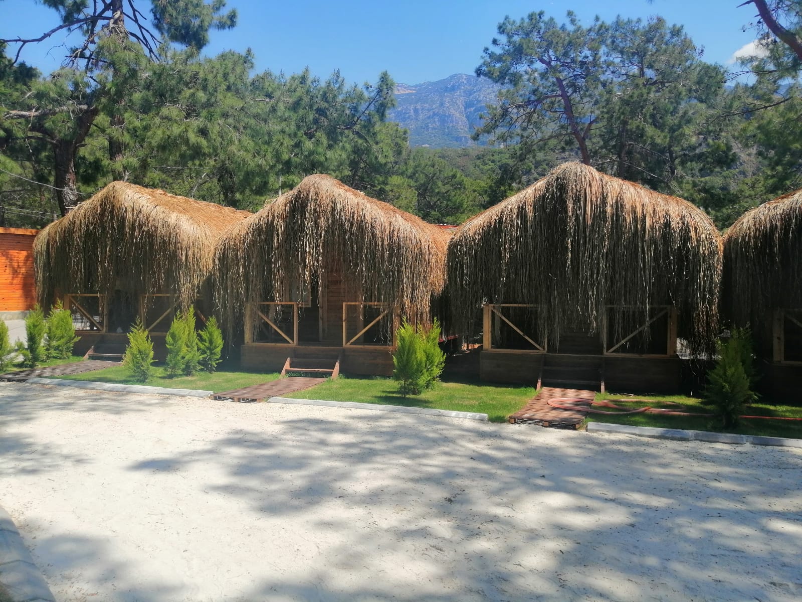 GREEN PINE BEACH & BUNGALOWS LUXURY CONSEPT