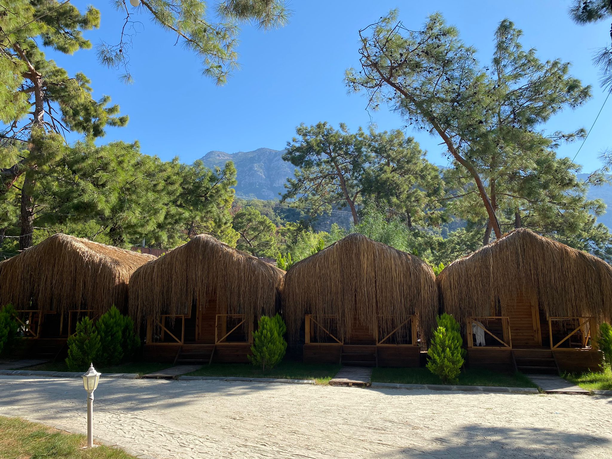 GREEN PINE BEACH & BUNGALOWS LUXURY CONSEPT