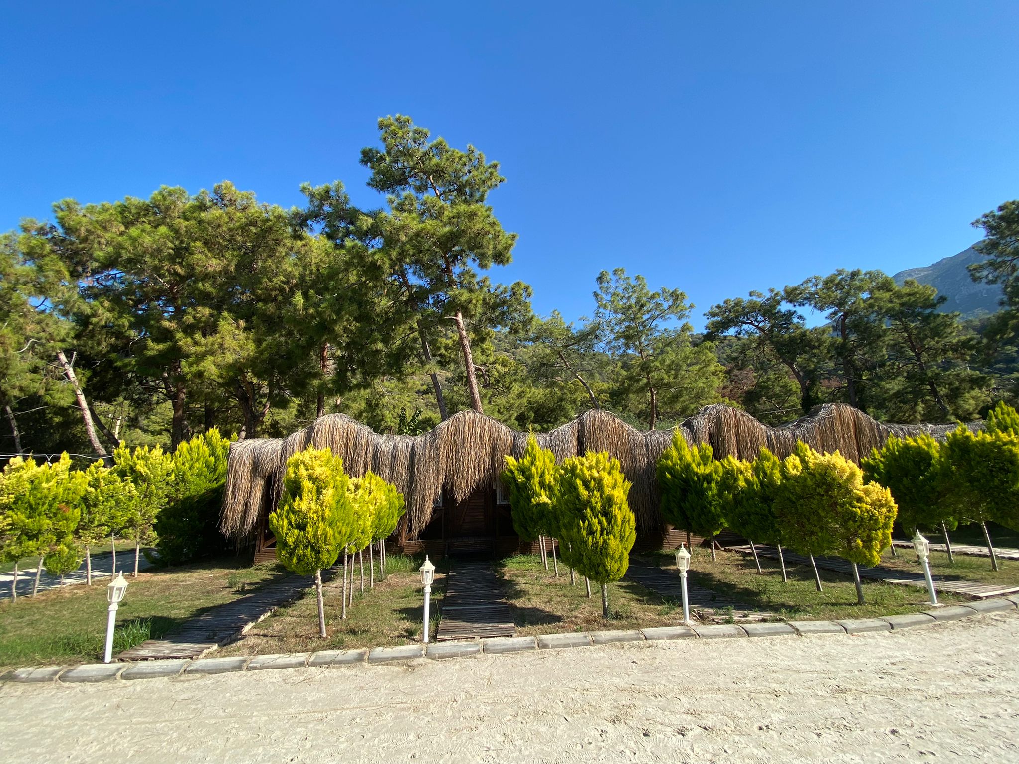 GREEN PINE BEACH & BUNGALOWS LUXURY CONSEPT