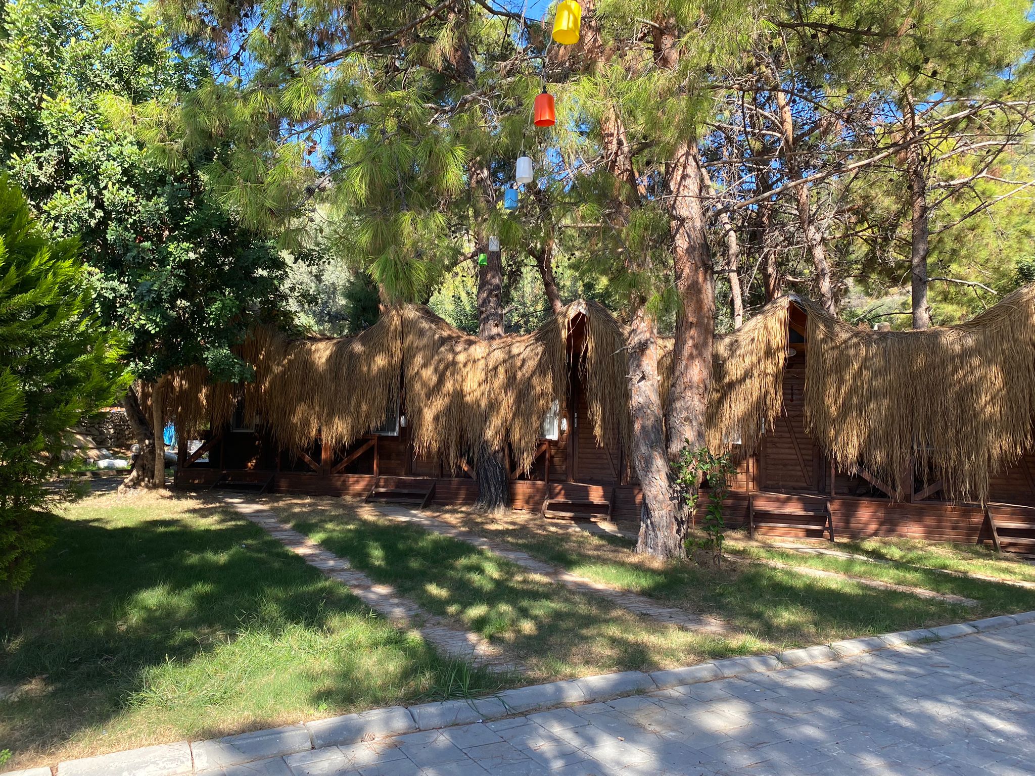 GREEN PINE BEACH & BUNGALOWS LUXURY CONSEPT