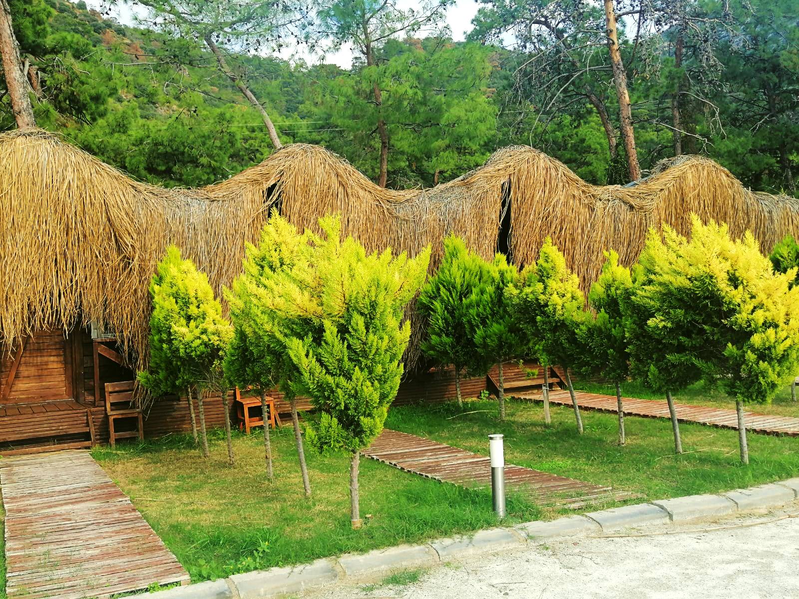 GREEN PINE BEACH & BUNGALOWS LUXURY CONSEPT