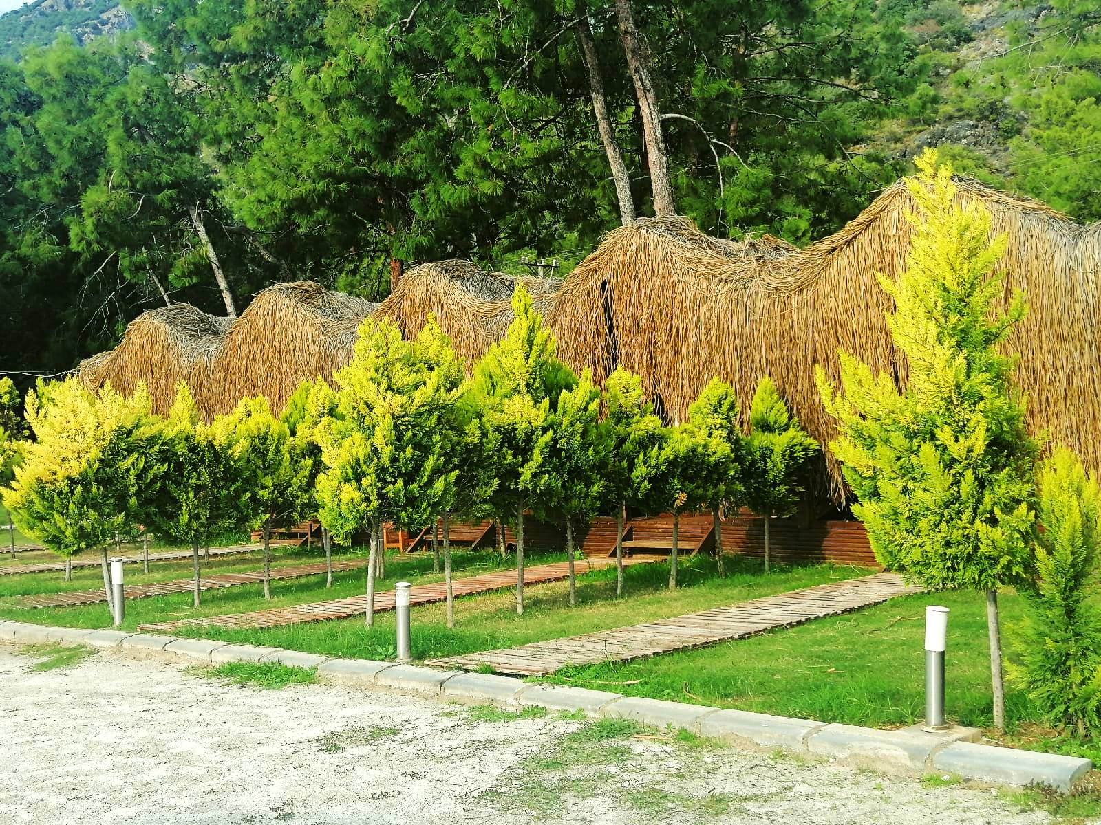 GREEN PINE BEACH & BUNGALOWS LUXURY CONSEPT