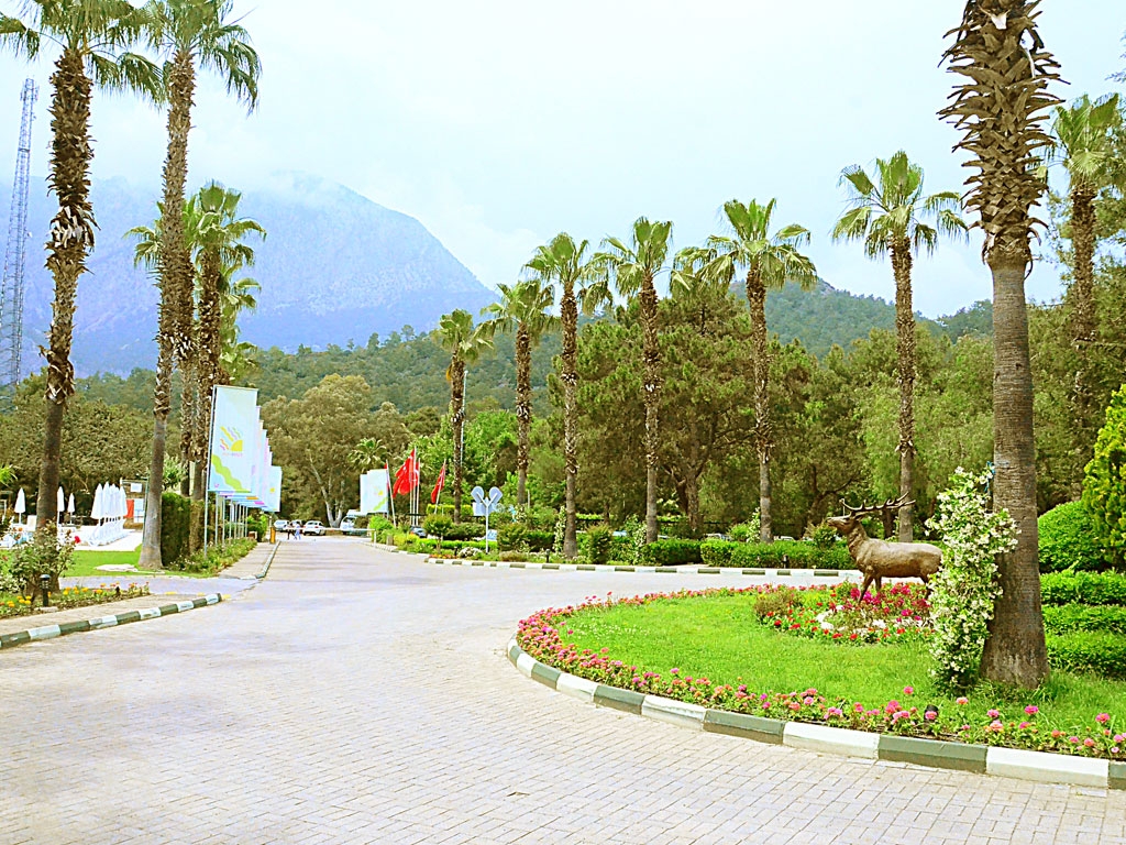 MA BICHE KEMER